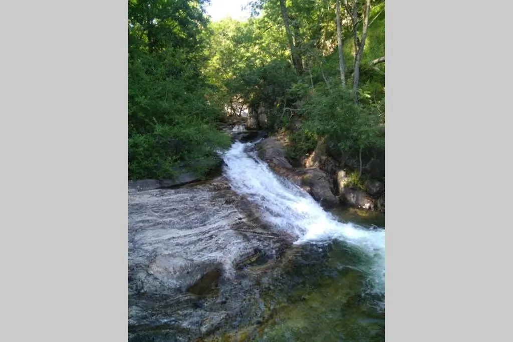 L'Oree Des Bois De Freyssenet / Labastide/Besorgue France